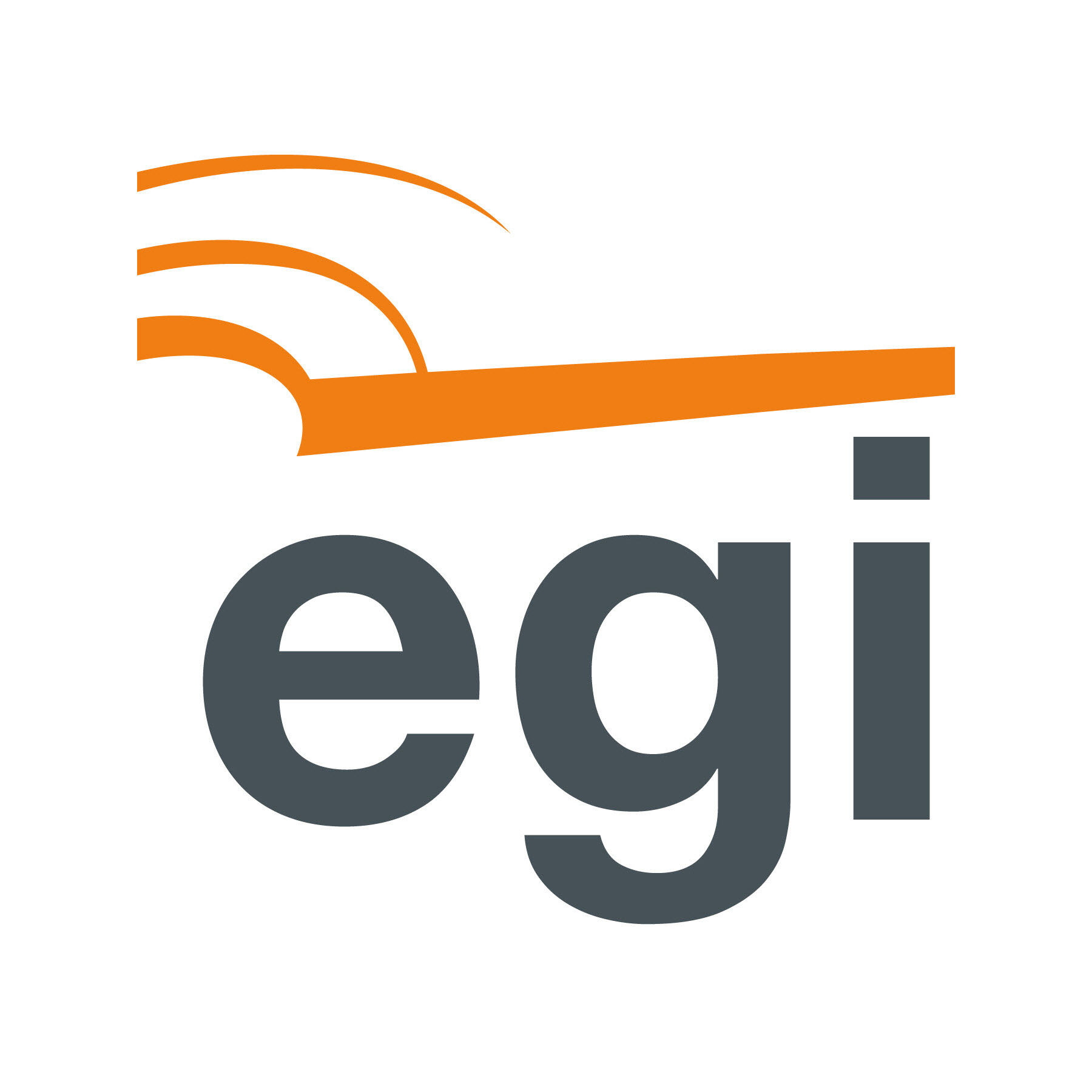 EGI Logo
