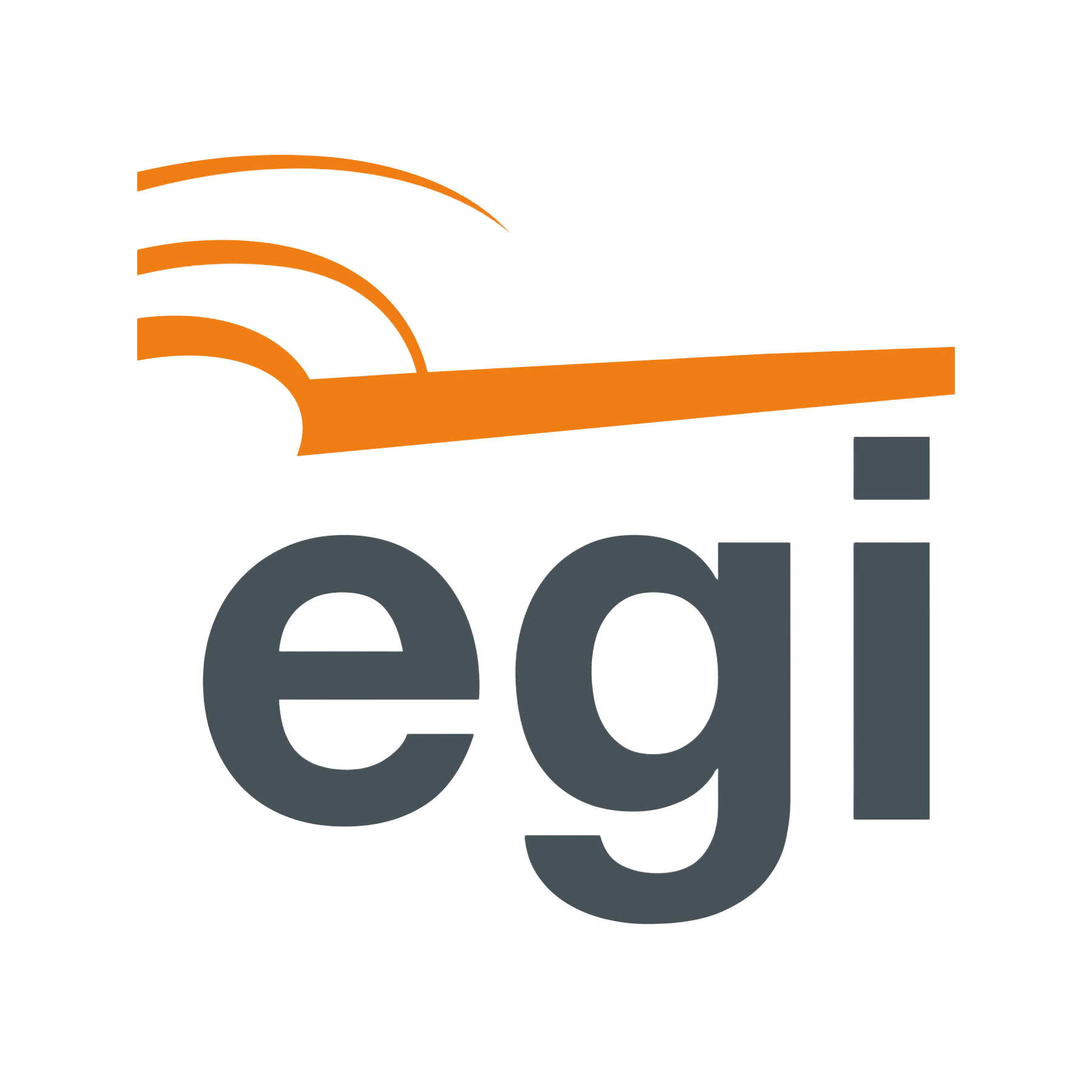 EGI logo